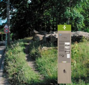 Coye-la-Forêt - Sentier découverte